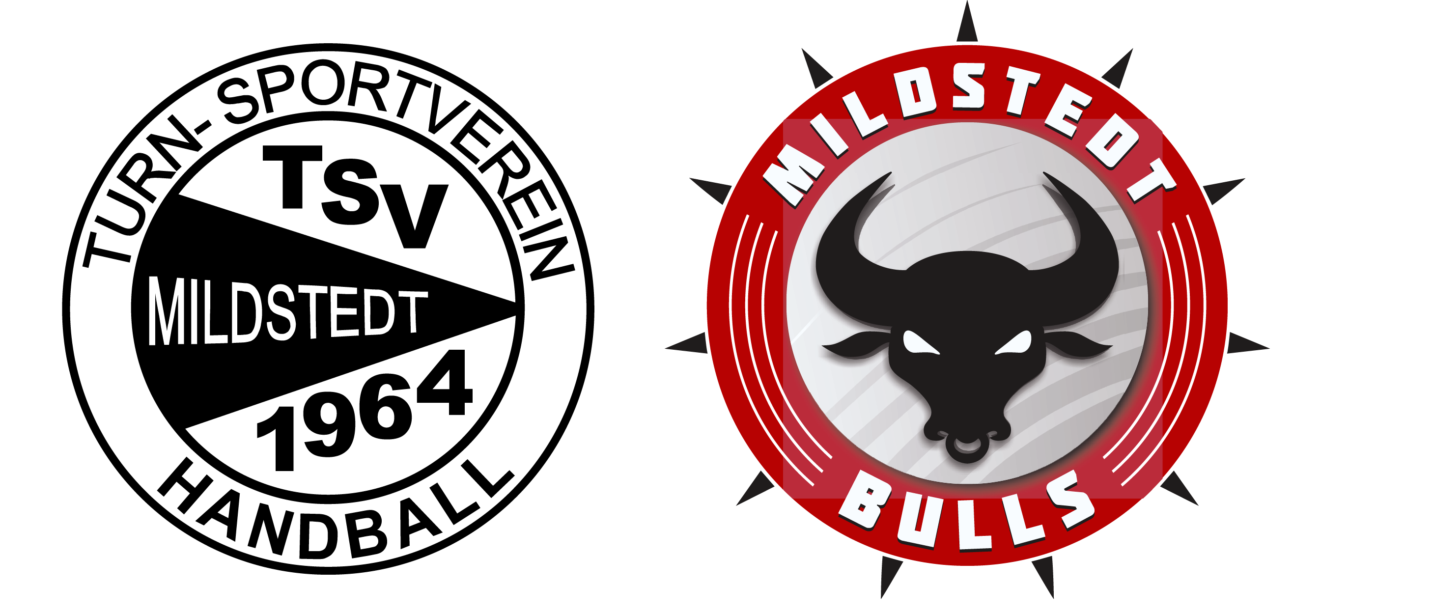 TSV Mildstedt Social App